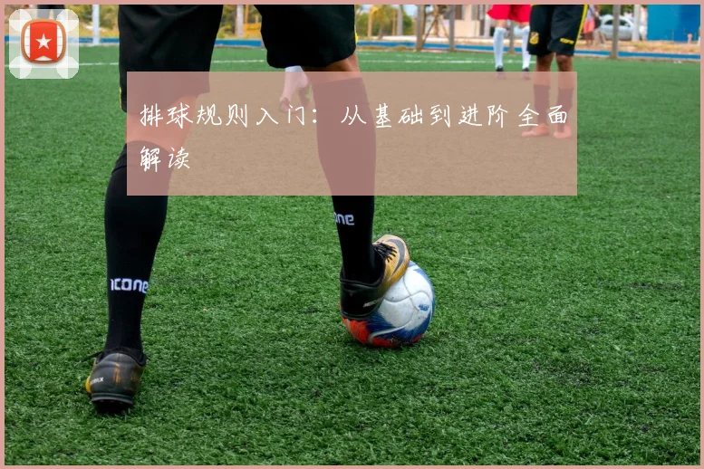 排球规则入门：从基础到进阶全面解读