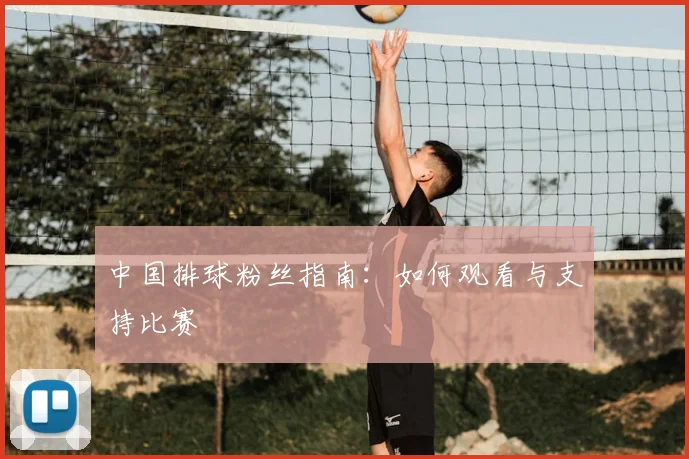 中国排球粉丝指南：如何观看与支持比赛
