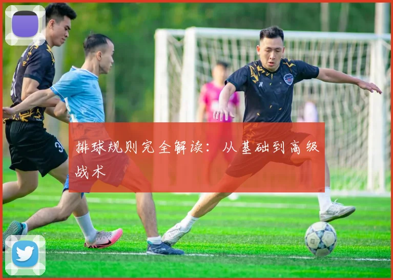 排球规则完全解读：从基础到高级战术