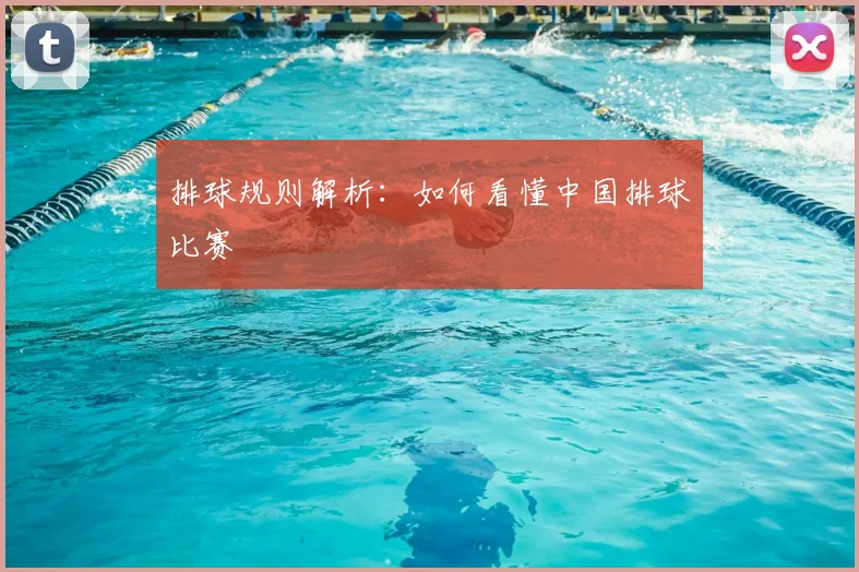 排球规则解析：如何看懂中国排球比赛