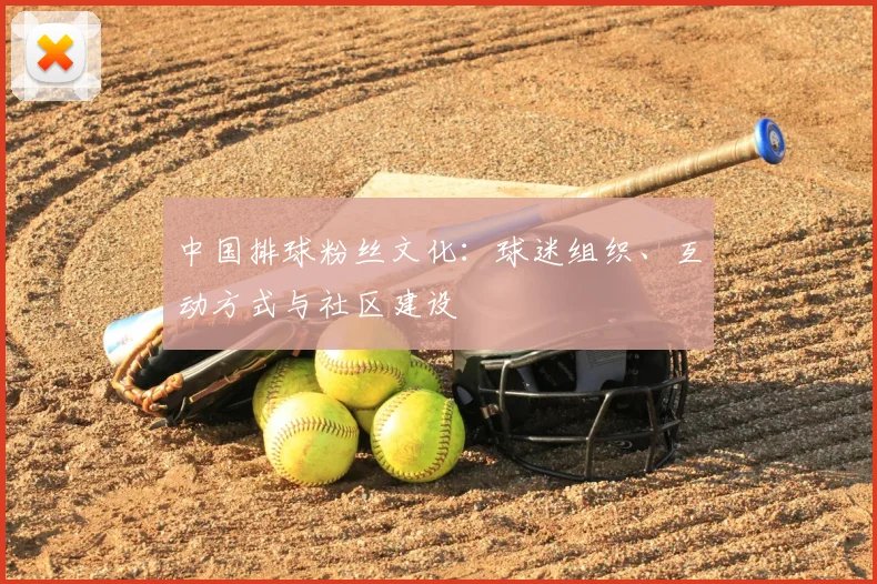 中国排球粉丝文化：球迷组织、互动方式与社区建设