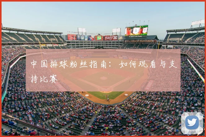 中国排球粉丝指南：如何观看与支持比赛