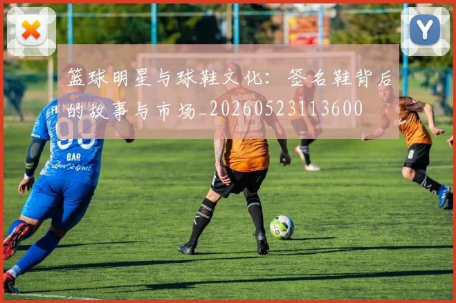 篮球明星与球鞋文化：签名鞋背后的故事与市场_20260523113600
