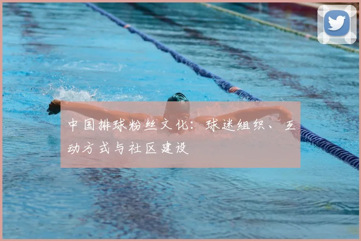 中国排球粉丝文化：球迷组织、互动方式与社区建设