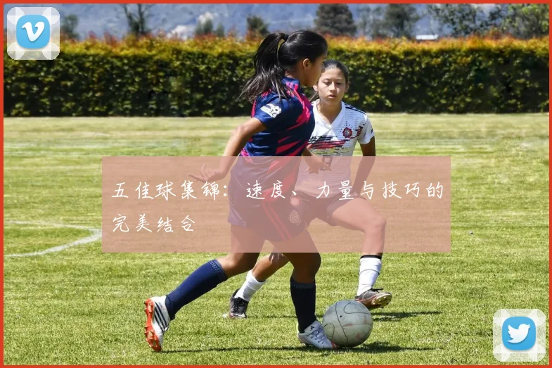 五佳球集锦：速度、力量与技巧的完美结合